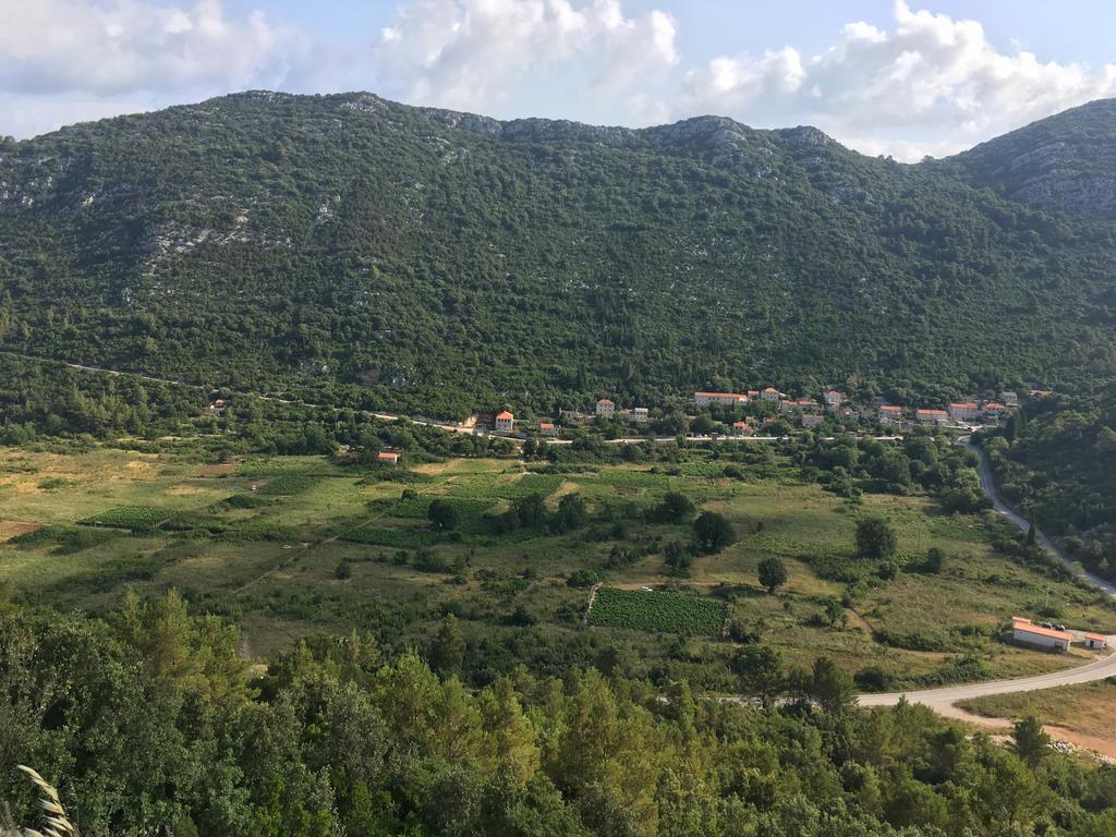 Apartments Dora Mljet Kozarica Kültér fotó